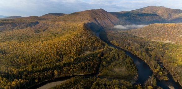 Нацпарк «Бикин» в Приморье включили в список Всемирного наследия ЮНЕСКО