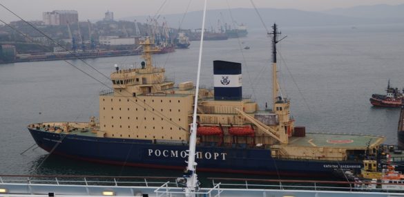 Иностранных туристов могут завлечь в Приморье китами, медведями и барбекю на льдине