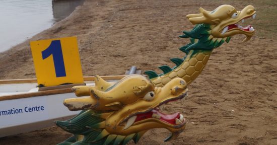 Во Владивостоке «драконов» выпустили на волю