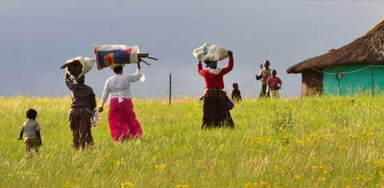 Владивосткоцам предлагают отправиться в небольшое путешествие в ЮАР