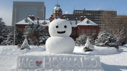 Прямой рейс на Хоккайдо из Владивостока: горные лыжи, вкусная еда и отличный отдых