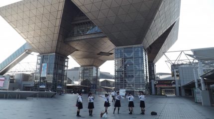 Готовность Приморья к выставке JATA: японцы в путешествиях стали чаще делать ставку на индивидуальность