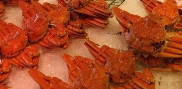 Фестиваль «Держи краба» в рейтинге лучших сентябрьских гастрофестивалей России