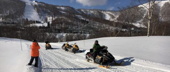 «Уральские авиалинии» предлагают билеты на Хоккайдо за полцены