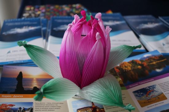 От К-РОРа и лотосов до ханбока и путешествий — Фестиваль культуры показал Корею