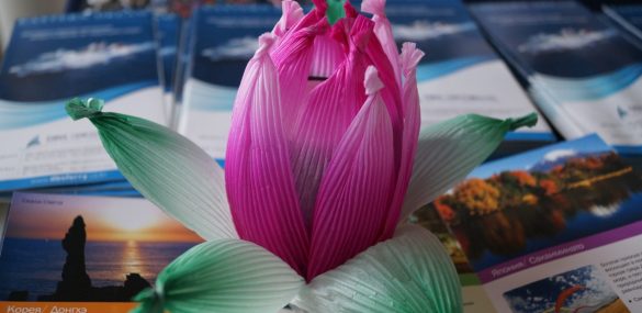 От К-РОРа и лотосов до ханбока и путешествий — Фестиваль культуры показал Корею