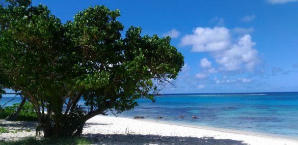 Аэропорт Сайпана возобновил свою работу после тайфуна, отели принимают постояльцев