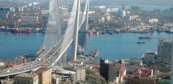 Голосуем за ТИЦ Приморья: идет борьба за статус лучшего ТИЦа страны