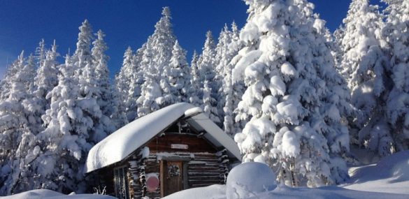 Горная усадьба на ДВ-гектаре в Хабаровском крае становится центром экотуризма