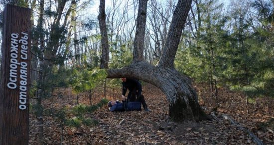 Турпоток на «Земле леопарда» в Приморье вырос почти в два раза