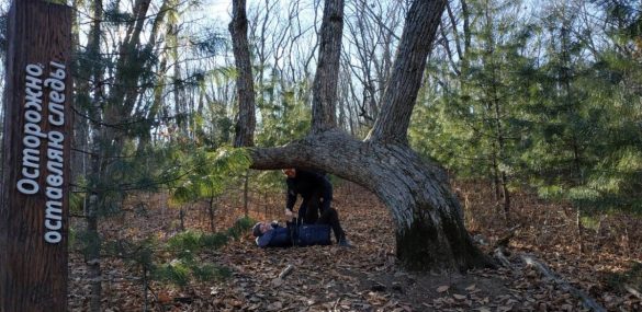 Турпоток на «Земле леопарда» в Приморье вырос почти в два раза