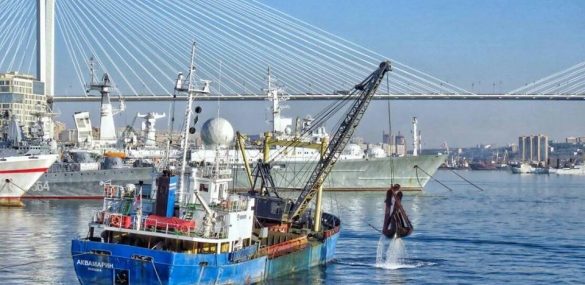 Отличный подарок туристическому Владивостоку:  завершено дноуглубление в порту