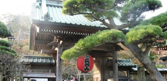 Япония рассматривает вопрос отмены краткосрочных виз для россиян