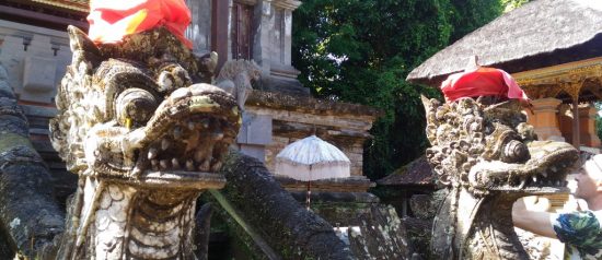 Россия и Индонезия готовы упростить визовый режим взаимных поездок граждан.