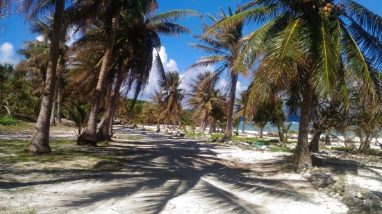 От жгучего перца и сакэ до велогонки и танцев или чем Сайпан удивит туристов