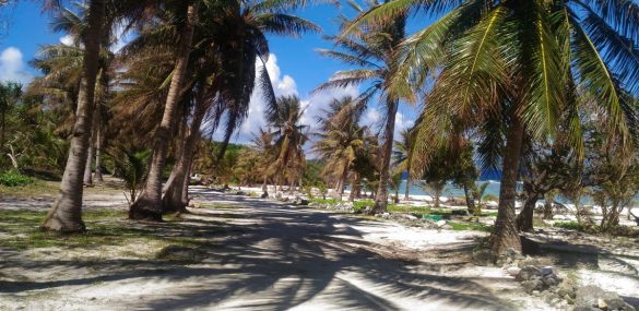 От жгучего перца и сакэ до велогонки и танцев  или  чем Сайпан удивит туристов