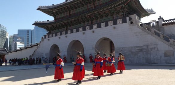 В Приморье НОТК ищет активных блогеров для поездки в Южную Корею