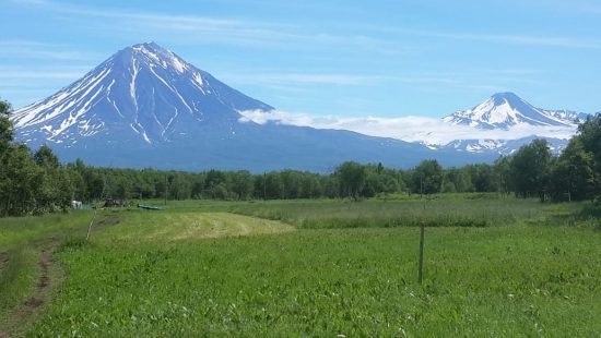 На Камчатке владельцы ДВ-гектара планируют обустроить ландшафтный парк и зону отдыха