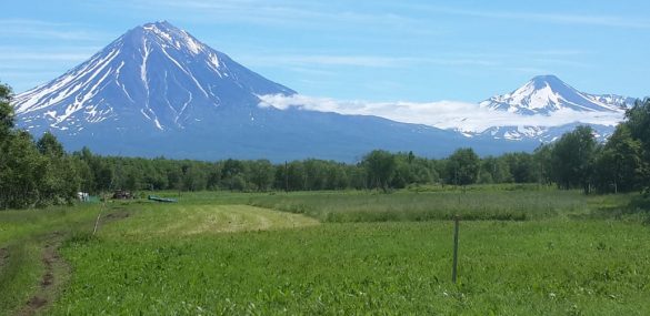 На Камчатке владельцы ДВ-гектара планируют обустроить ландшафтный парк и зону отдыха