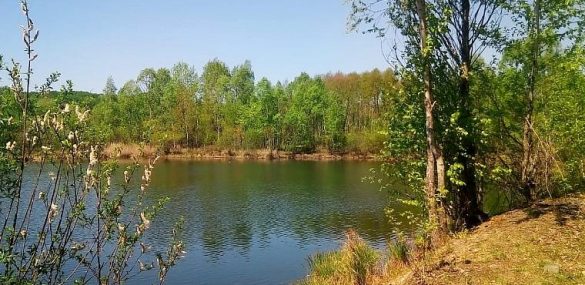 Путешествие в Маленький Израиль или туризм на ДВ-гектаре