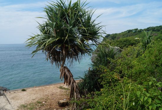 Приморцы массово в Шри-Ланку не едут, но и от отдыха на праздники не отказываются