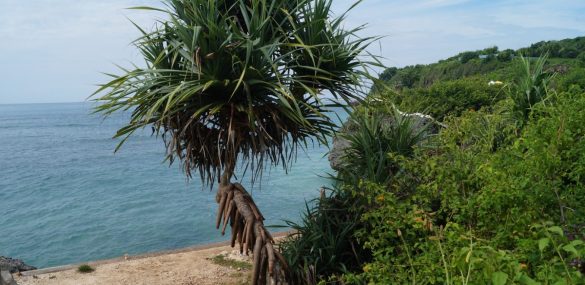 Приморцы массово в Шри-Ланку не едут, но и от отдыха на праздники не отказываются