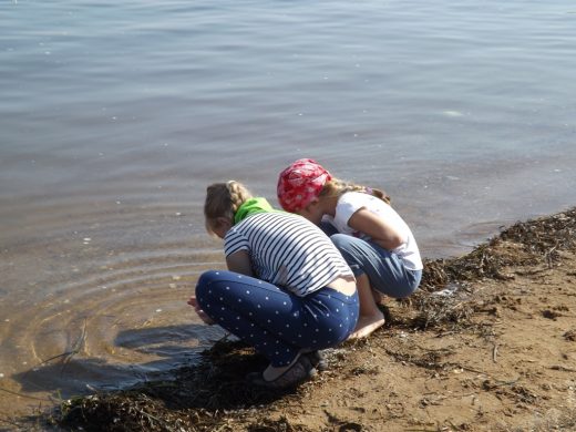 Для юных туристов в Приморье разработают новые туристские маршруты