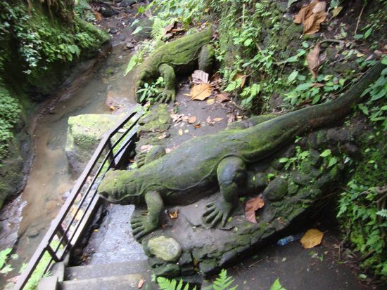 Остров Комодо с его знаменитыми гигантскими варанами закроют для туристов