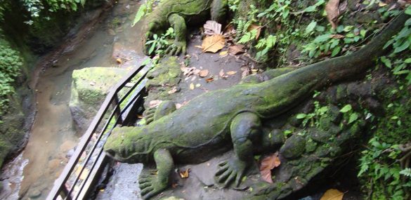 Остров Комодо с его знаменитыми гигантскими варанами закроют для туристов