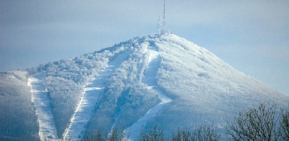 Проект реконструкции горнолыжной базы в Арсеньеве представили потенциальным инвесторам из АТР