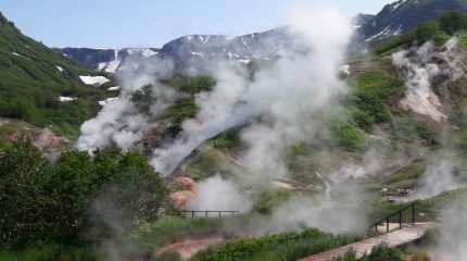 WWF призывает поддержать развитие экотропы в Командорском заповеднике