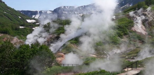 WWF призывает поддержать развитие экотропы в Командорском заповеднике