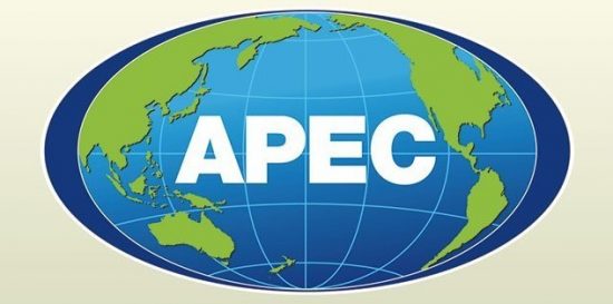 Электронные визы предложено распространить на все страны АТЭС