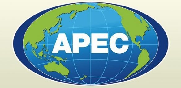 Электронные визы предложено распространить на все страны АТЭС