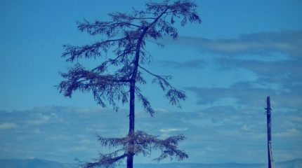 Бурятия планирует через 10 лет принимать уже 1,5 млн. туристов