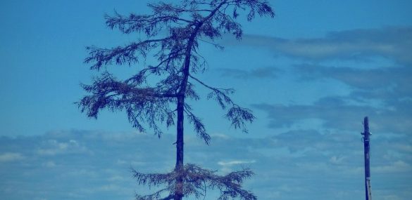 Бурятия планирует через 10 лет принимать уже 1,5 млн. туристов