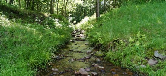 Новый вице-губернатор Приморья рассказал, как привлечь бизнес к развитию экотуризма в регионе