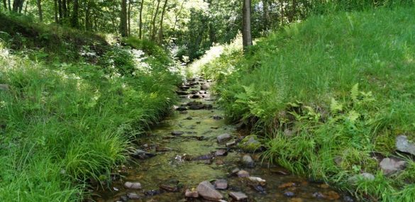 Новый вице-губернатор Приморья рассказал, как привлечь бизнес к развитию экотуризма в регионе