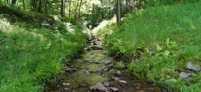 Новый вице-губернатор Приморья рассказал, как привлечь бизнес к развитию экотуризма в регионе