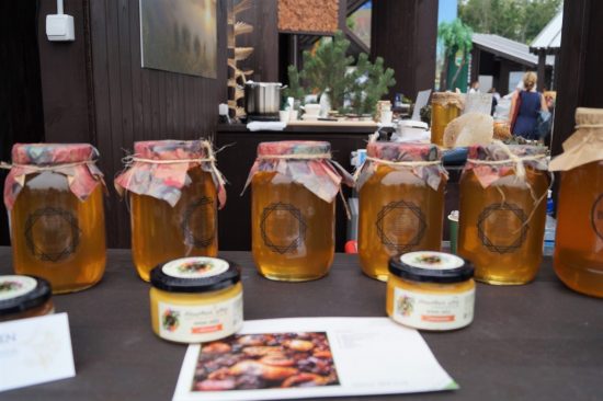 На Владивосток надвигается Taigafest