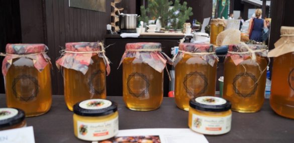 На Владивосток надвигается Taigafest