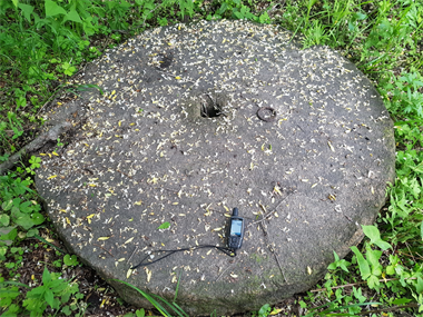 Старинные корейские поселения Земли леопарда откроются для туристов