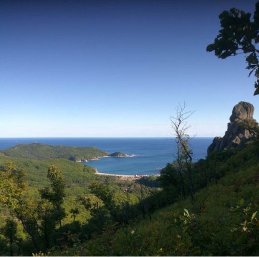 В Приморье в горах спасли туристку