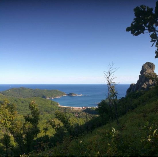 В Приморье в горах спасли туристку