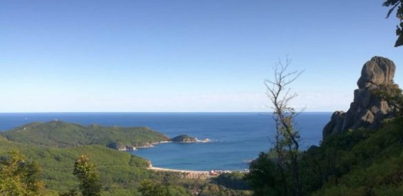 В Приморье в горах спасли туристку