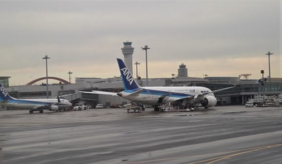 А должна ли была сегодня ANA вывозить россиян из Токио?