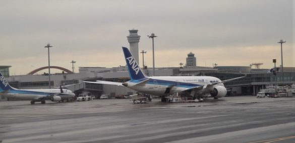 Авиакомпания ANA объявила о начале полетов во Владивосток.