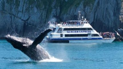 Уже можно строить планы для знакомства с Аляской на следующий год