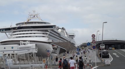 Из-за карантина лайнер Diamond Princess задержали в Йокогаме и отменили следующие два круиза