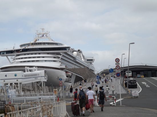 Из-за карантина лайнер Diamond Princess задержали в Йокогаме и отменили следующие два круиза